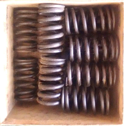 Sealed Power Valve Spring Set for Chevrolet 1955-1957 Made in USA 2