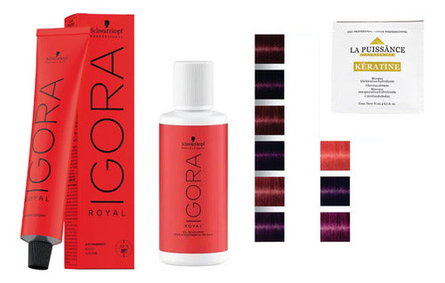 Schwarzkopf Professional Igora Royal Rojo Violeta + Oxidante 60ml + Mascara Hidratante 6