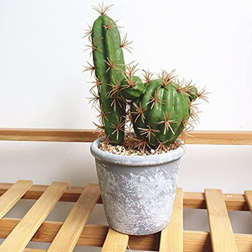 Hinyoco 6 Piezas Cactus Artificial Faux Cactus Plant Arreglo 1