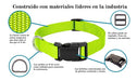 Nylon Collar and Leash Set for Dogs and Cats Various Sizes 4