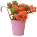 Plantaspaty Metal Bucket in Colors for Hanging 0