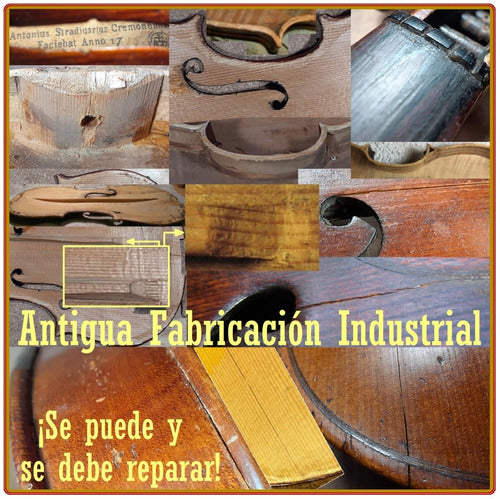 Antique Cello Appraisal by Prof. Dmitry Rodnoy 2