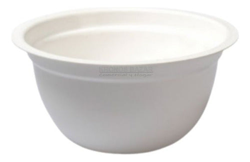 DPL Bowls Batidor 25 Cm Plastico Recipiente Para Batir Colores 0