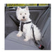 Trixie Medium Dog Safety Harness and Seatbelt 5