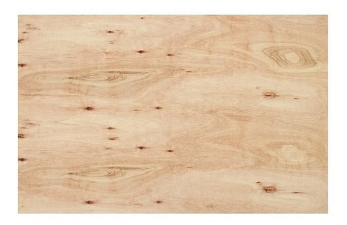 Placa De Madera Fenolico 18mm - Ontil 0