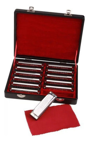 SX Diatonic Harmonica Set - 12 Notes + Case 0