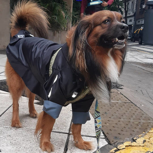 Piloto Impermeable Para Perro Hecho A Medida. 3