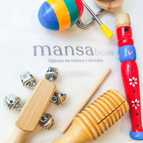 Kit Musical Infantil Grande - Instrumentos - Regalo 2