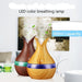 Home Humidifier or Aroma Diffuser 1