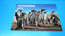 Almanaque Patagonia Del Año 2014 Ediciones Patrian 0