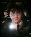 Poster Harry Potter  60 X 46 0