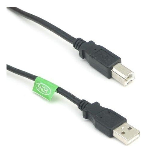 Riteav - Usb 2.0 A-B Cable 1 Ft 0