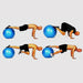Pilates Fitball 65 cm Esferodinamia Ball Yoga Gym Relax Exercise 23