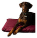 Marko Anti-Scratch Mattress with Zipper T4 100 X 80 for Large Dogs 5