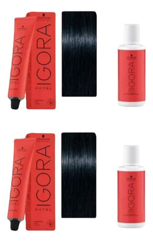 Schwarzkopf Igora Royal Kit 2 Permanent Tint 1-1 + 2 Oxidants 60ml 4