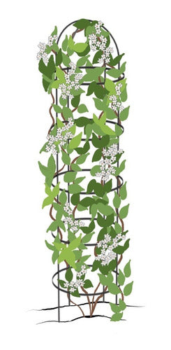 Elevate Jardin Medium Tower Trellis for Garden in Rust Finish 2