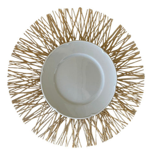 MODI Home Pack of 6 Round Table Mats 38cm Natural Fibers 3