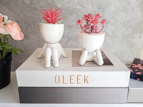 Oleek Small Fake Plants Shelf Decoration Gift 2