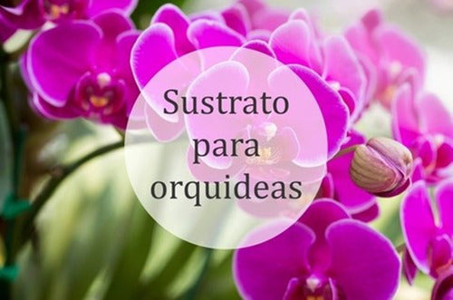 Musgo Spagnum Para Orquideas Bertinat Jardin 3,5 Dm3 Full 4