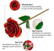 Enjoypro Gold Rose, 24k Golden Plated Red Rose, Real Everlas 3