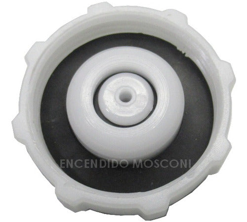 DAM Tapa De Depósito De Agua R19 Clio Kangoo Megane Express 2