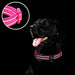 Azuza Reflective Dog Collar, Padded Neoprene Collar with ID Tag Ring, Adjustable for Small Dogs, Hot Pink 3