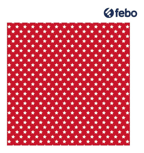 Papel De Regalo X1 Temática Viaje Nuevos Diseños Febo 1