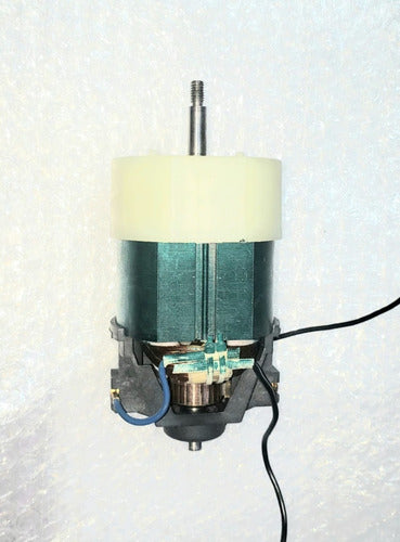 Motor Boreadora Gamma G3080ar 2