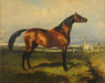 Arthur Sarnoff - Caballo Y Potrillo Campo - 45x30 Cm 3