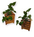 Set of 4 Decorative Pine Planters with Potus Fern Handles 10