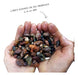 Nuevo Vivero Hanasono River Pebbles for Garden - 10 Kg Bag 3