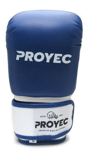 Proyec Boxing Gloves - Vivid Collection 13
