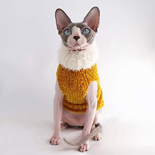 Kitipcoo Sphynx Cat Winter Sweater Outfit 2