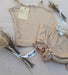 Baby Beige Morley Set by Ambar Kids - Tank Top and Shorts Combo 2