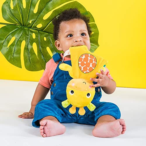 Bright Starts Snuggle Teethe Plush Baby Toy - Giraffe 1