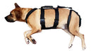 Dog Rehabilitation Harness Orthopedic Hip Dysplasia Aid 2