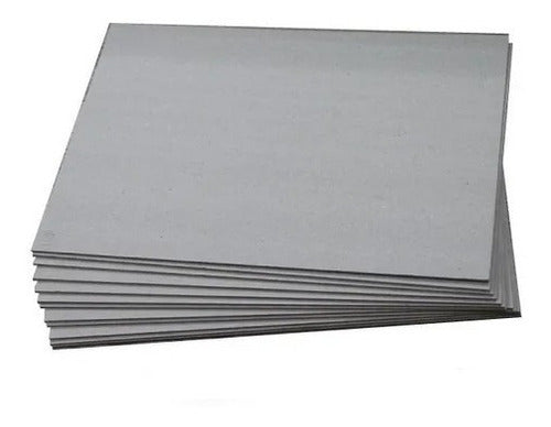 Cartón Gris Nro. 25 1 Mm 70x100 X2 Unidades 0