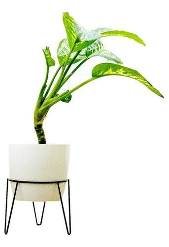 VKV Store Tripod Plant Stand 22cm Height for Pot N18 3