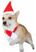 Visky Pet Dog Christmas Costume Perro Santa Hat Con Bufanda 2