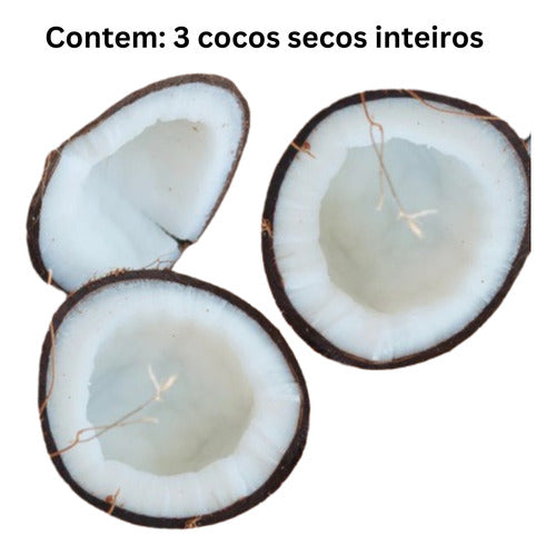 3 Cocos Secos Inteiros C/casca Cocada Nucífera 6