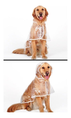 Capa Chuva Transparente Pet Cão Raças Grande 0