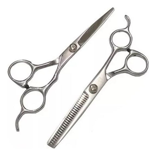 Professional Hairdressing Scissors Set with Apron, Sprayer, Combs, Blade, and Gloves 0