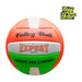 Expert Volleyball N 5 Professional + Inflator 3