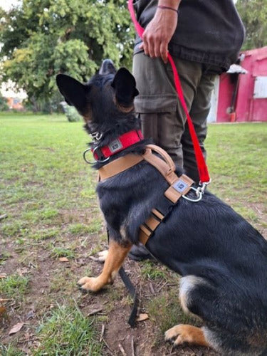 Reinforced Tactical H Harness Anti-Pull Safety K9 4