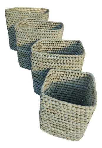 Generic Woven Planter in Caranday Palm 30x30x30 0