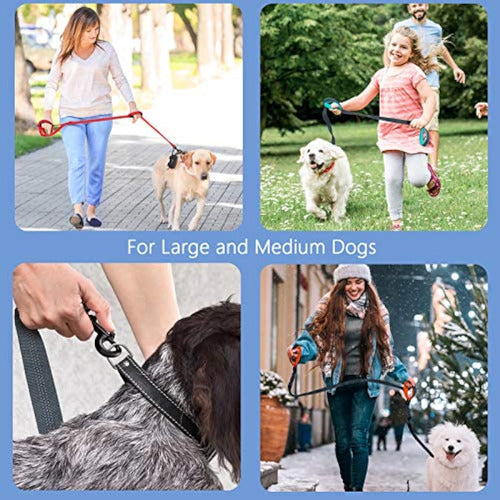 Puppydoggy Large and Medium Dog Leash 5