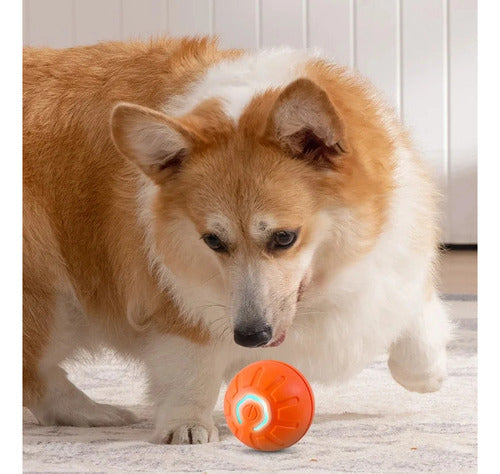 Macarons Bazar Interactive Rechargeable Smart Ball Toy for Dogs and Cats 7