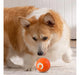 Macarons Bazar Interactive Rechargeable Smart Ball Toy for Dogs and Cats 7