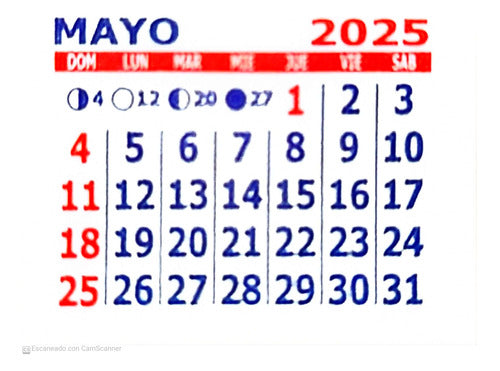 200 Mignon Calendars 5x5 cm 2025 - Devoto 3