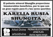 Shungite Shungit Karelia Protection and Energy Sh17 2